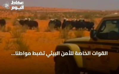 القوات الخاصة للأمن البيئي تضبط مواطناً لرعيه 20 رأساً من الأغنام داخل محمية الإمام تركي بن عبدالله