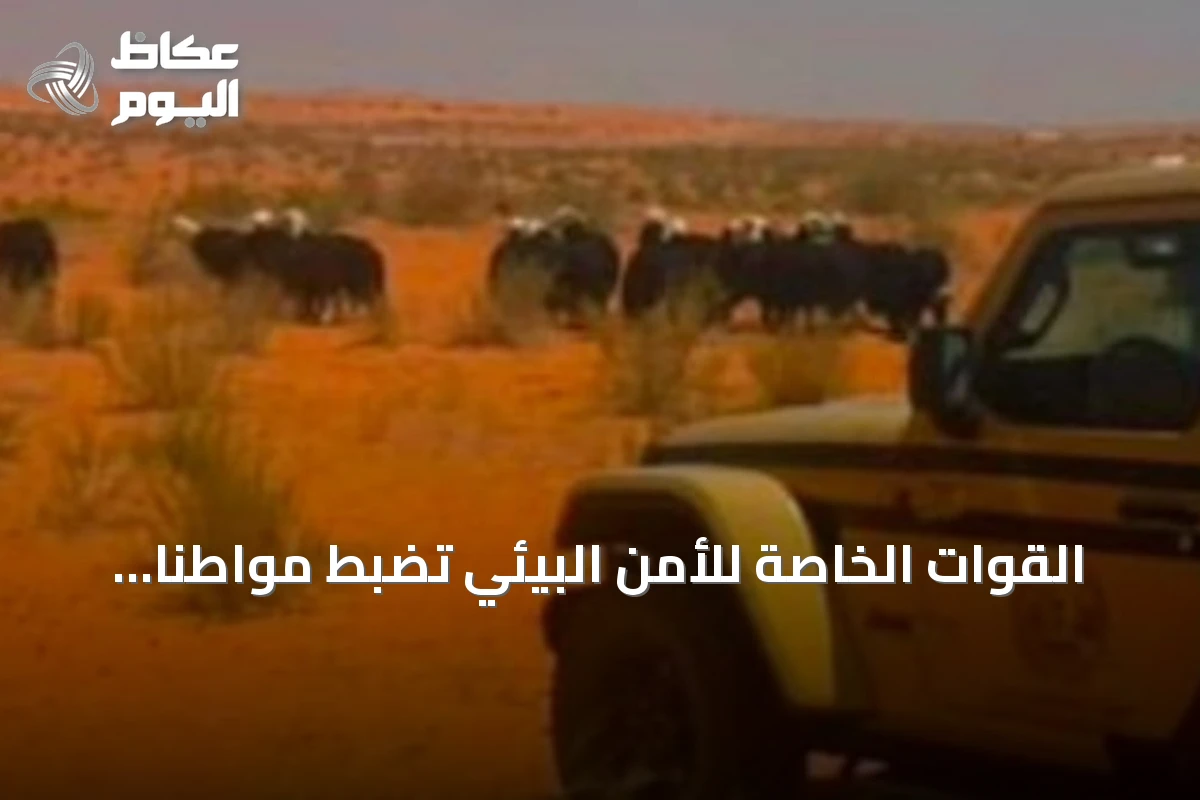 القوات الخاصة للأمن البيئي تضبط مواطناً لرعيه 20 رأساً من الأغنام داخل محمية الإمام تركي بن عبدالله