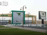 دكتورة منيرة الدويرج: الذكاء الاصطناعي أداة مساعدة لا بديل عن العقل البشري