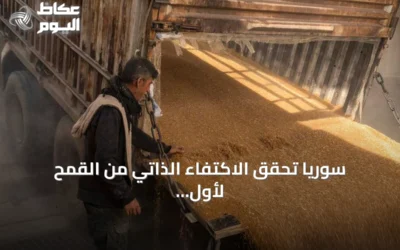 سوريا تحقق الاكتفاء الذاتي من القمح لأول مرة منذ 16 عاماً