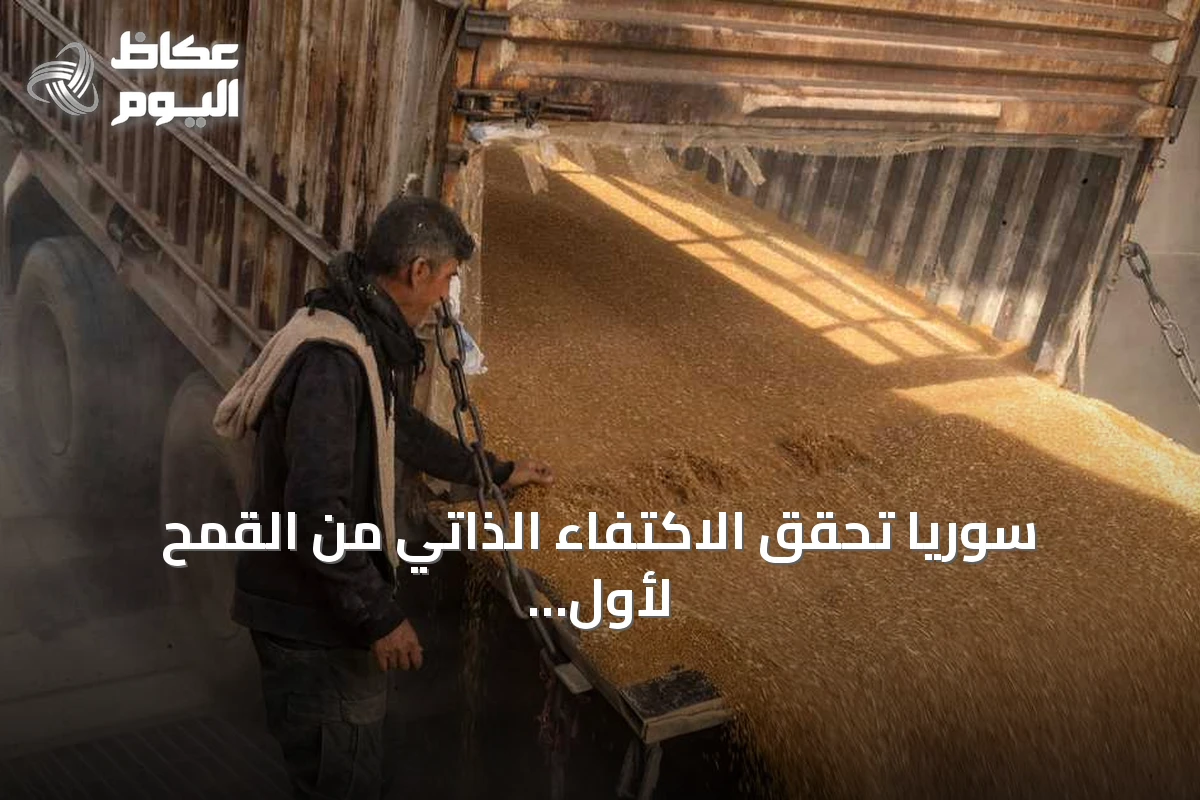 سوريا تحقق الاكتفاء الذاتي من القمح لأول مرة منذ 16 عاماً