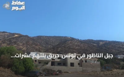 جبل الناظور في تونس: حريق يلتهم عشرات الهكتارات ويحوّل الخضرة إلى رماد