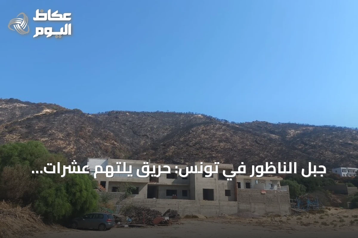 جبل الناظور في تونس: حريق يلتهم عشرات الهكتارات ويحوّل الخضرة إلى رماد