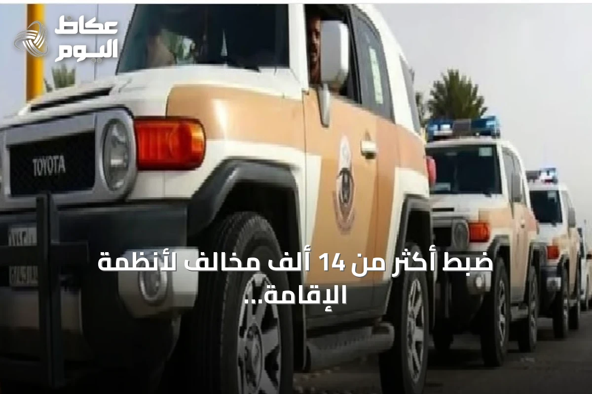 ضبط أكثر من 14 ألف مخالف لأنظمة الإقامة والعمل وأمن الحدود في حملات أمنية بالمملكة