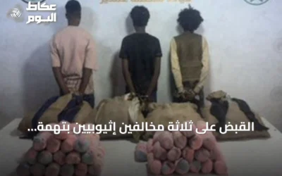 القبض على ثلاثة مخالفين إثيوبيين بتهمة تهريب نبات القات المخدر في عسير