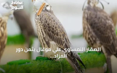 الصقار النمساوي علي موغال يثمن دور المزاد الدولي للصقور في ترسيخ ثقة المزارع الأوروبية