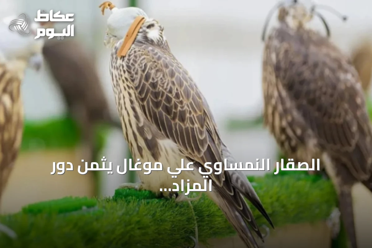 الصقار النمساوي علي موغال يثمن دور المزاد الدولي للصقور في ترسيخ ثقة المزارع الأوروبية