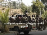 حاكم دارفور يعلن صد هجوم ضخم للدعم السريع على بئر سليبة