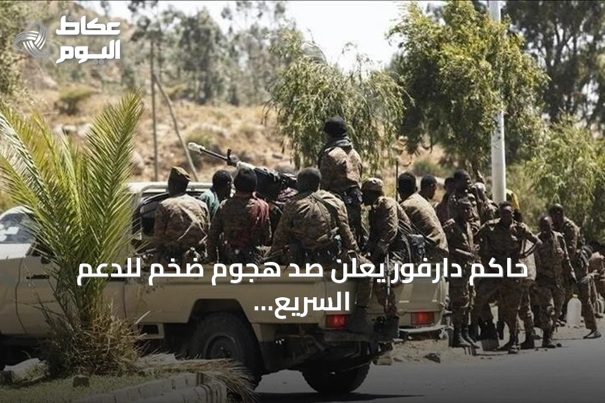 حاكم دارفور يعلن صد هجوم ضخم للدعم السريع على بئر سليبة