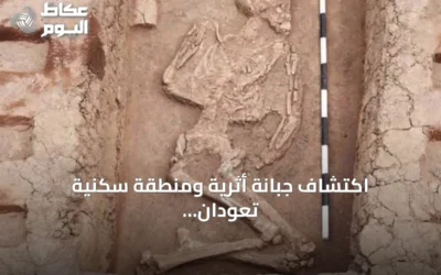 اكتشاف جبانة أثرية ومنطقة سكنية تعودان لعصور ما قبل الأسرات في دلتا مصر