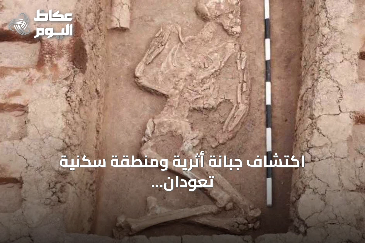 اكتشاف جبانة أثرية ومنطقة سكنية تعودان لعصور ما قبل الأسرات في دلتا مصر