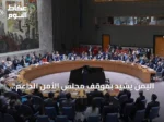 اليمن يشيد بموقف مجلس الأمن الداعم لسيادته والرافض لانتهاكات الحوثيين والطائرات الإيرانية
