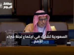السعودية تشارك في اجتماع لجنة خبراء الأمم المتحدة للمعلومات الجيومكانية بنيويورك