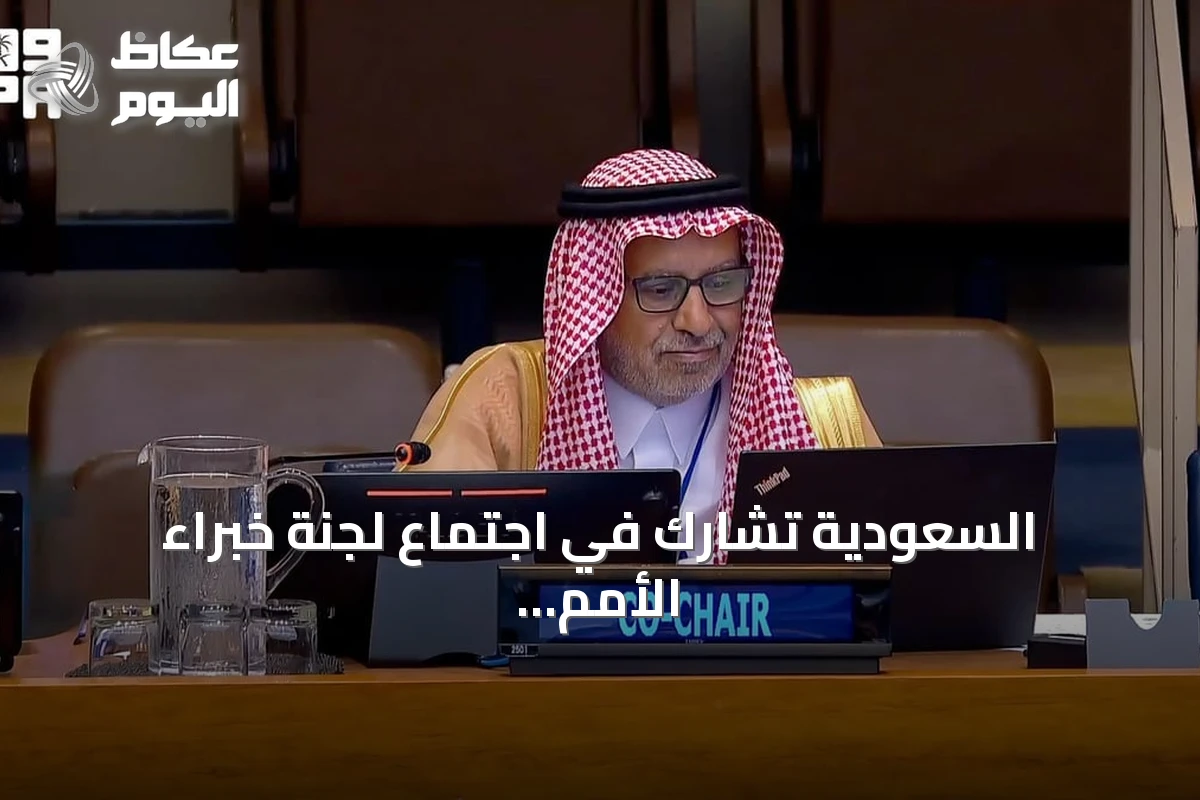 السعودية تشارك في اجتماع لجنة خبراء الأمم المتحدة للمعلومات الجيومكانية بنيويورك