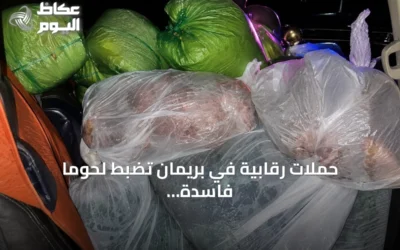 حملات رقابية في بريمان تضبط لحومًا فاسدة وتشدد على مكافحة البيع العشوائي