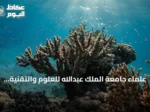 علماء جامعة الملك عبدالله للعلوم والتقنية يثبتون إمكانية تحفيز ذاكرة مناعية لدى المرجان