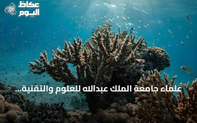 علماء جامعة الملك عبدالله للعلوم والتقنية يثبتون إمكانية تحفيز ذاكرة مناعية لدى المرجان