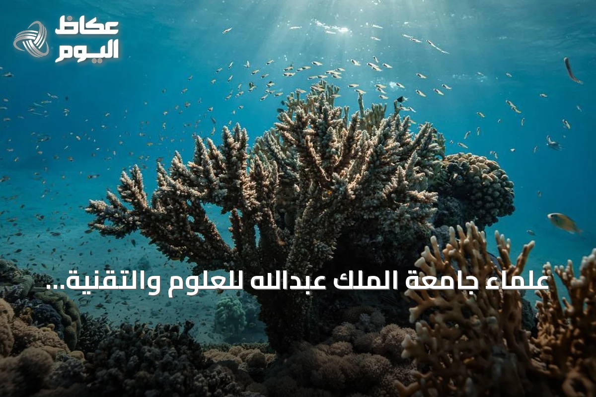 علماء جامعة الملك عبدالله للعلوم والتقنية يثبتون إمكانية تحفيز ذاكرة مناعية لدى المرجان
