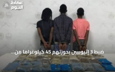 ضبط 3 إثيوبيين بحوزتهم 45 كيلوغراماً من الحشيش في الربوعة بعسير