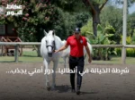 شرطة الخيالة في أنطاليا.. دور أمني يجذب أنظار السكان والزوار