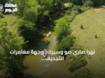 نهرا صاري صو وسيرك.. وجهة مغامرات التجديف في قوجا إيلي التركية