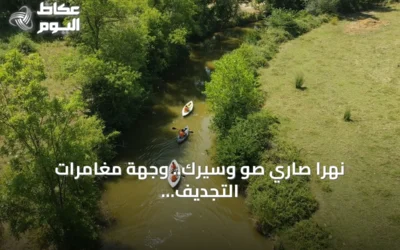 نهرا صاري صو وسيرك.. وجهة مغامرات التجديف في قوجا إيلي التركية