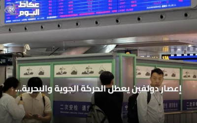 إعصار دولفين يعطل الحركة الجوية والبحرية في شرق الصين ويؤدي لإلغاء أكثر من 1400 رحلة