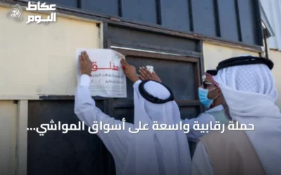 حملة رقابية واسعة على أسواق المواشي والأعلاف بتبوك لرفع مستوى الامتثال