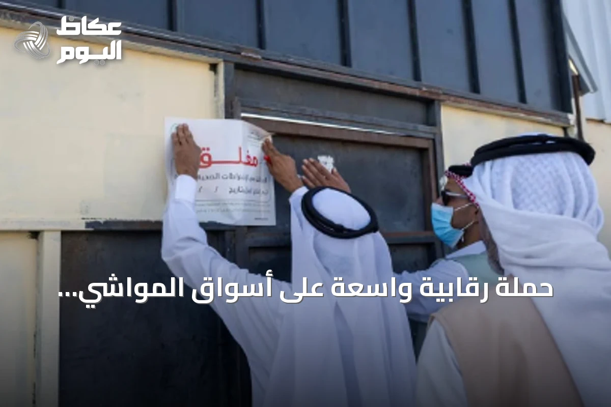 حملة رقابية واسعة على أسواق المواشي والأعلاف بتبوك لرفع مستوى الامتثال