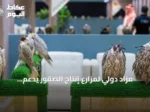 مزاد دولي لمزارع إنتاج الصقور يدعم الاقتصاد المحلي ويوسع فرص الاستثمار