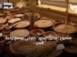 مشروع “مخزن البذور” التركي يوسع زراعة قمح “إيزا” العائد لـ12 ألف عام