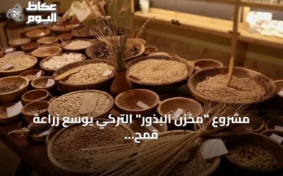 مشروع “مخزن البذور” التركي يوسع زراعة قمح “إيزا” العائد لـ12 ألف عام