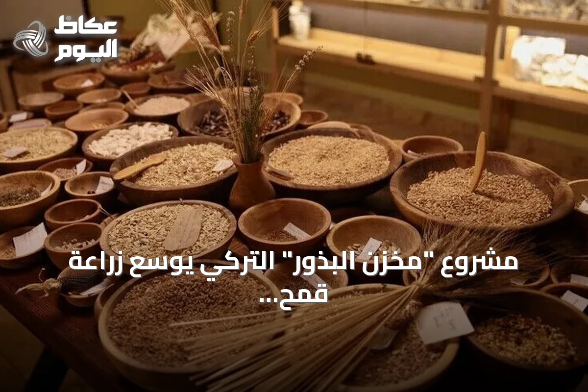 مشروع “مخزن البذور” التركي يوسع زراعة قمح “إيزا” العائد لـ12 ألف عام