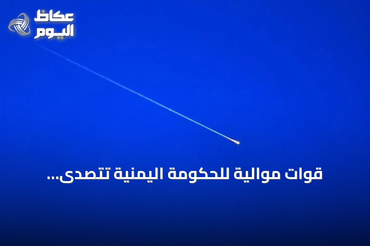 قوات موالية للحكومة اليمنية تتصدى لمسيّرات حاولت الاقتراب من منشآت حساسة في عدن