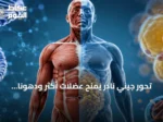 تحور جيني نادر يمنح عضلات أكثر ودهوناً أقل ويقي من الأمراض