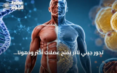 تحور جيني نادر يمنح عضلات أكثر ودهوناً أقل ويقي من الأمراض