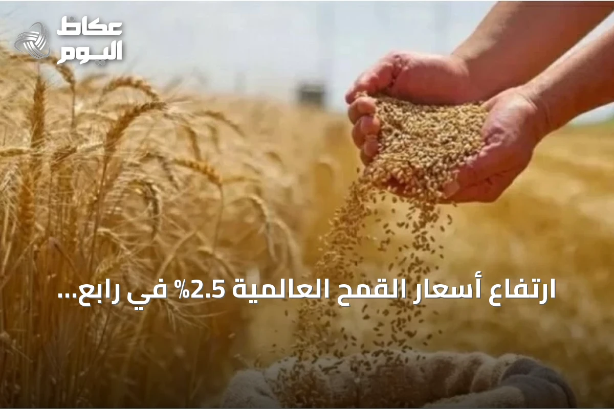 ارتفاع أسعار القمح العالمية 2.5% في رابع مكسب يومي على التوالي