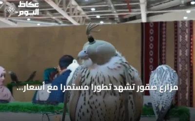 مزارع صقور تشهد تطوراً مستمراً مع أسعار تنافسية لدعم الأجيال القادمة