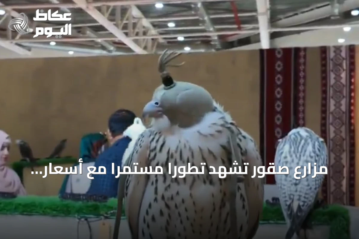 مزارع صقور تشهد تطوراً مستمراً مع أسعار تنافسية لدعم الأجيال القادمة