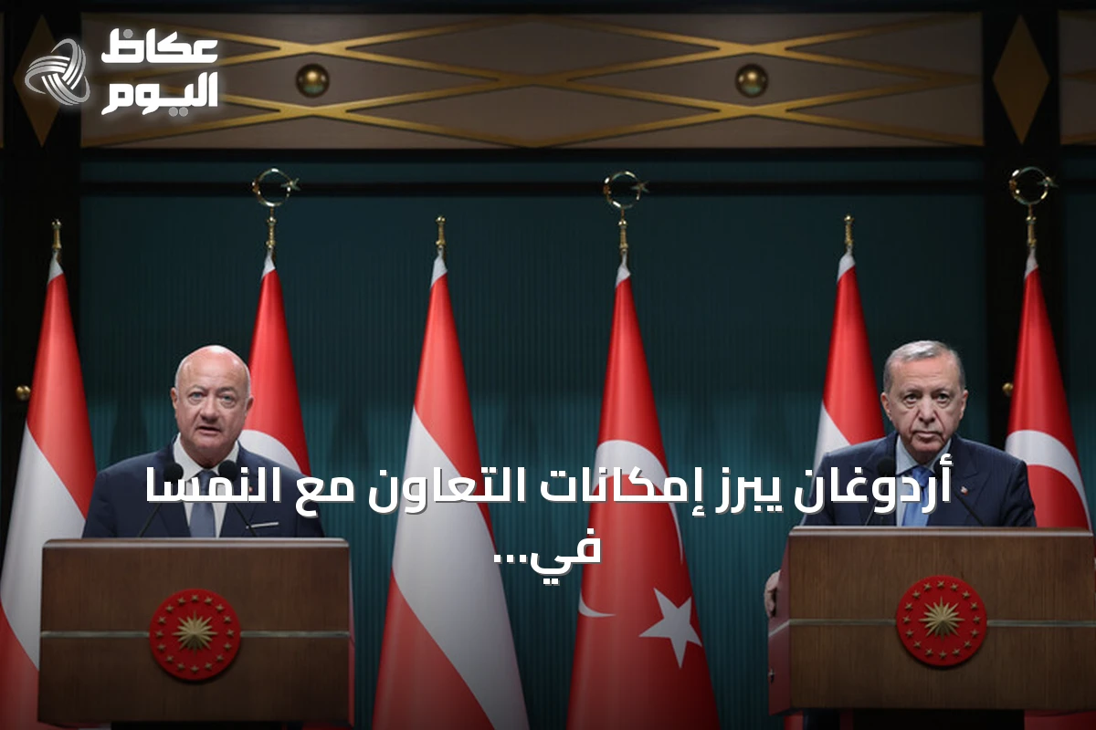 أردوغان يبرز إمكانات التعاون مع النمسا في الطاقة والدفاع