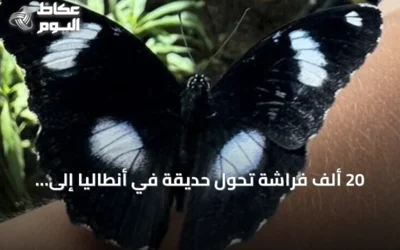 20 ألف فراشة تحوّل حديقة في أنطاليا إلى وجهة استوائية تفاعلية