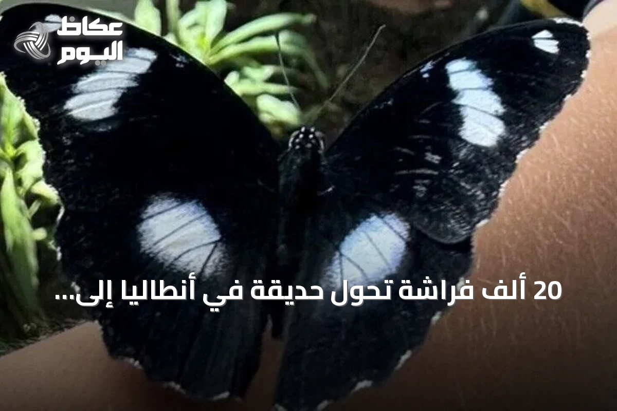 20 ألف فراشة تحوّل حديقة في أنطاليا إلى وجهة استوائية تفاعلية