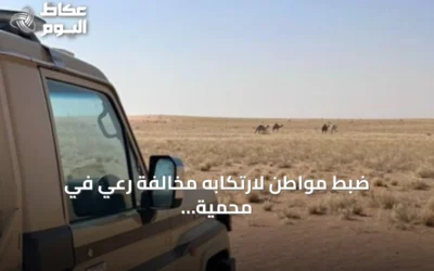 ضبط مواطن لارتكابه مخالفة رعي في محمية الملك عبدالعزيز الملكية