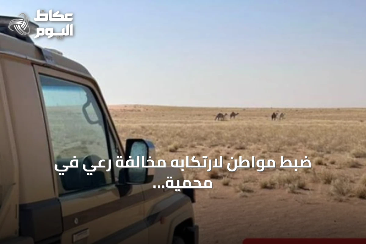 ضبط مواطن لارتكابه مخالفة رعي في محمية الملك عبدالعزيز الملكية