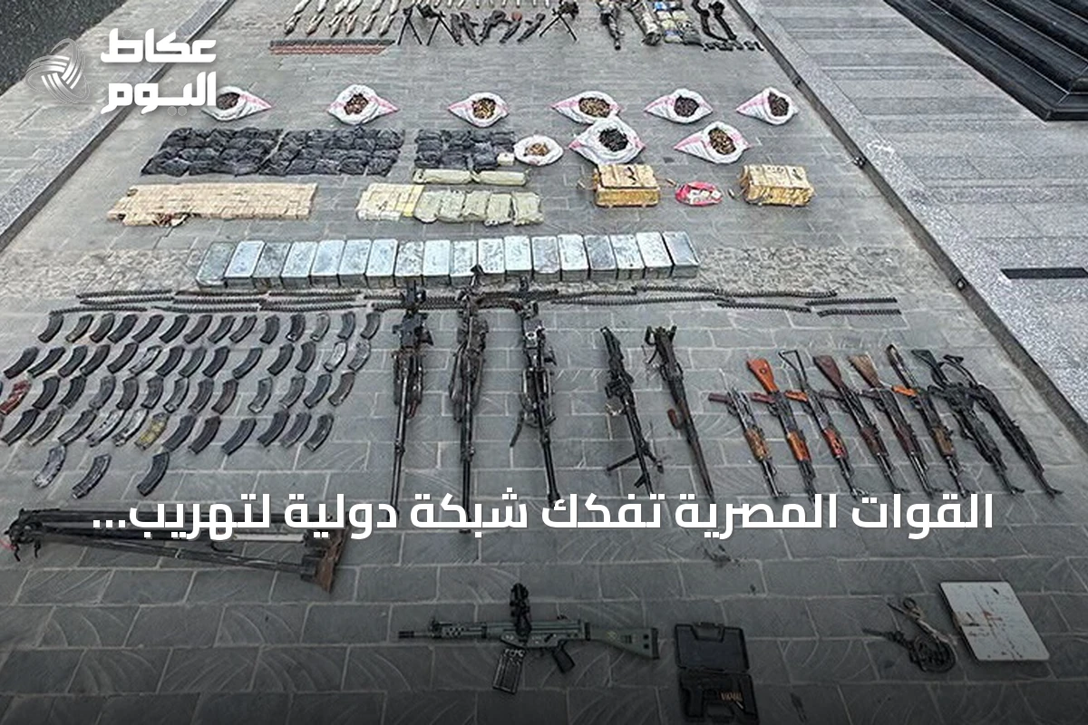 القوات المصرية تفكك شبكة دولية لتهريب السلاح وتضبط أسلحة وذخائر في جنوب البلاد