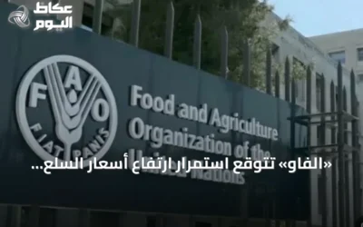 «الفاو» تتوقع استمرار ارتفاع أسعار السلع الزراعية حتى ديسمبر