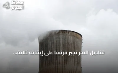 قناديل البحر تجبر فرنسا على إيقاف ثلاثة مفاعلات نووية