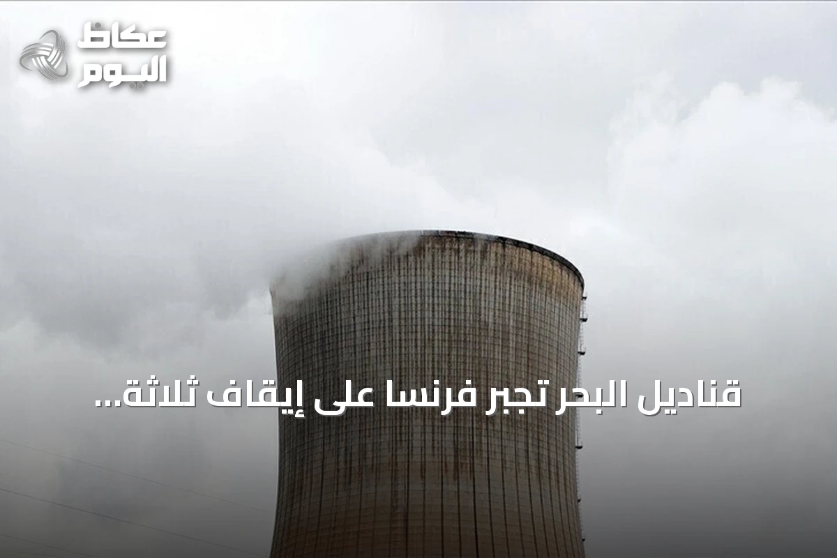 قناديل البحر تجبر فرنسا على إيقاف ثلاثة مفاعلات نووية