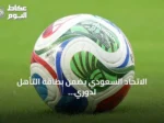 الاتحاد السعودي يضمن بطاقة التأهل لدوري أبطال آسيا للنخبة بعد رباعية في مرمى الجزيرة