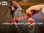 المزاد الدولي لمزارع الصقور يحتضن سلالات وخبرات إنتاجية من أربع قارات
